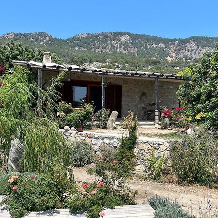 Beso Patara Hotel Екстериор снимка