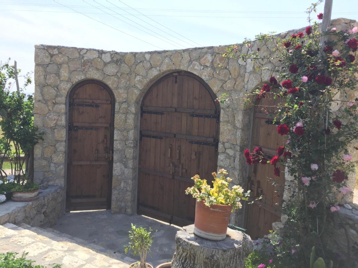Beso Patara Hotel Екстериор снимка